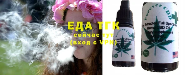 индика Володарск