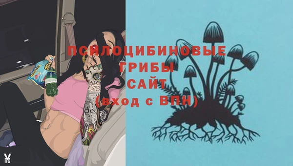 индика Володарск