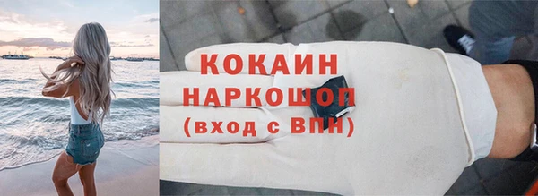 индика Володарск