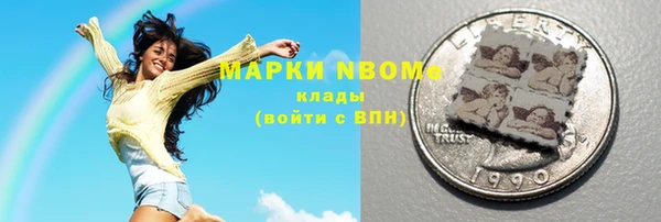 индика Володарск