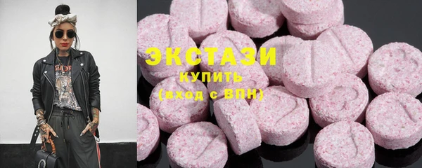 индика Володарск