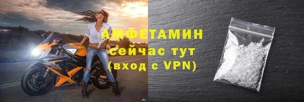индика Володарск