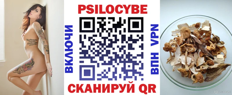 блэк спрут онион  Людиново  Псилоцибиновые грибы прущие грибы  где продают  